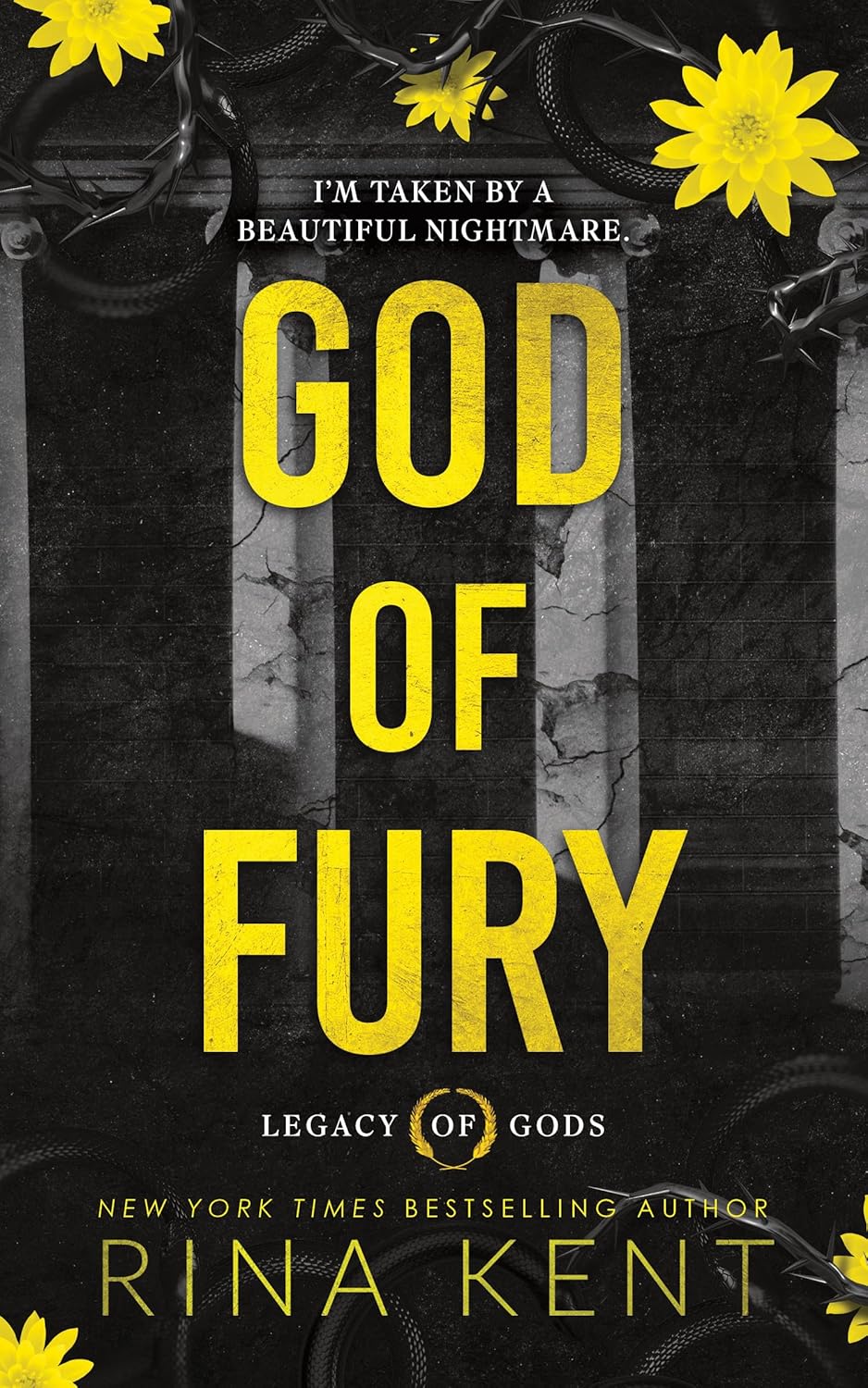 God of Fury by Rina Kent