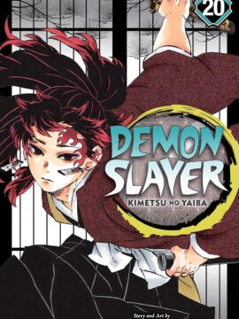 Demon Slayer: Kimetsu no Yaiba, Vol. 20 by Koyoharu Gotouge