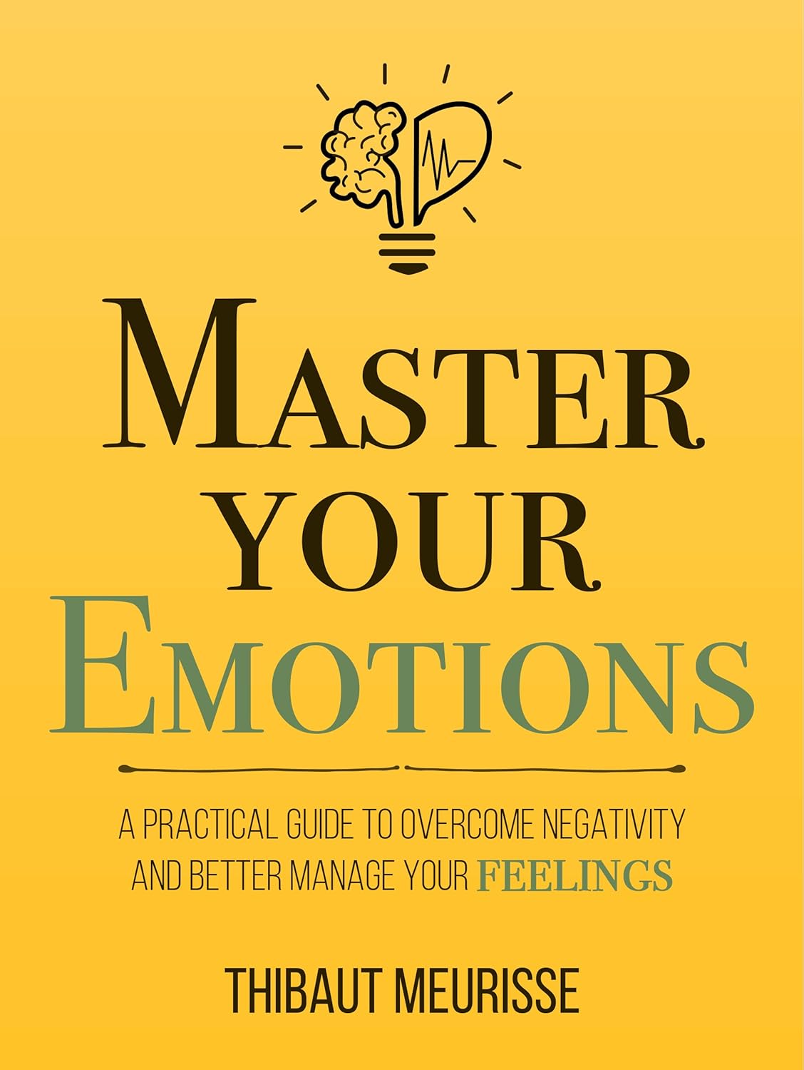Master Your Emotions: A Practical Guide to Overcome Negativity and Better Manage Your Feelings by Thibaut Meurisse