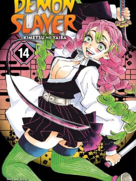 Demon Slayer: Kimetsu no Yaiba, Vol. 14  by Koyoharu Gotouge