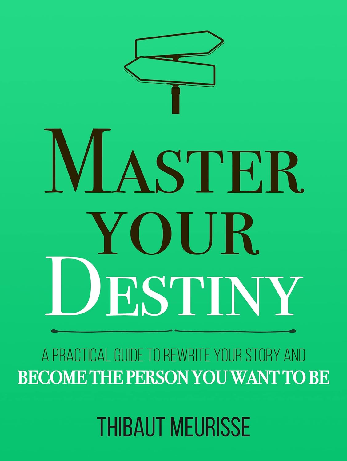 Master Your Destiny: A Practical Guide to Rewrite Your Story and Become the Person You Want to Be by Thibaut Meurisse