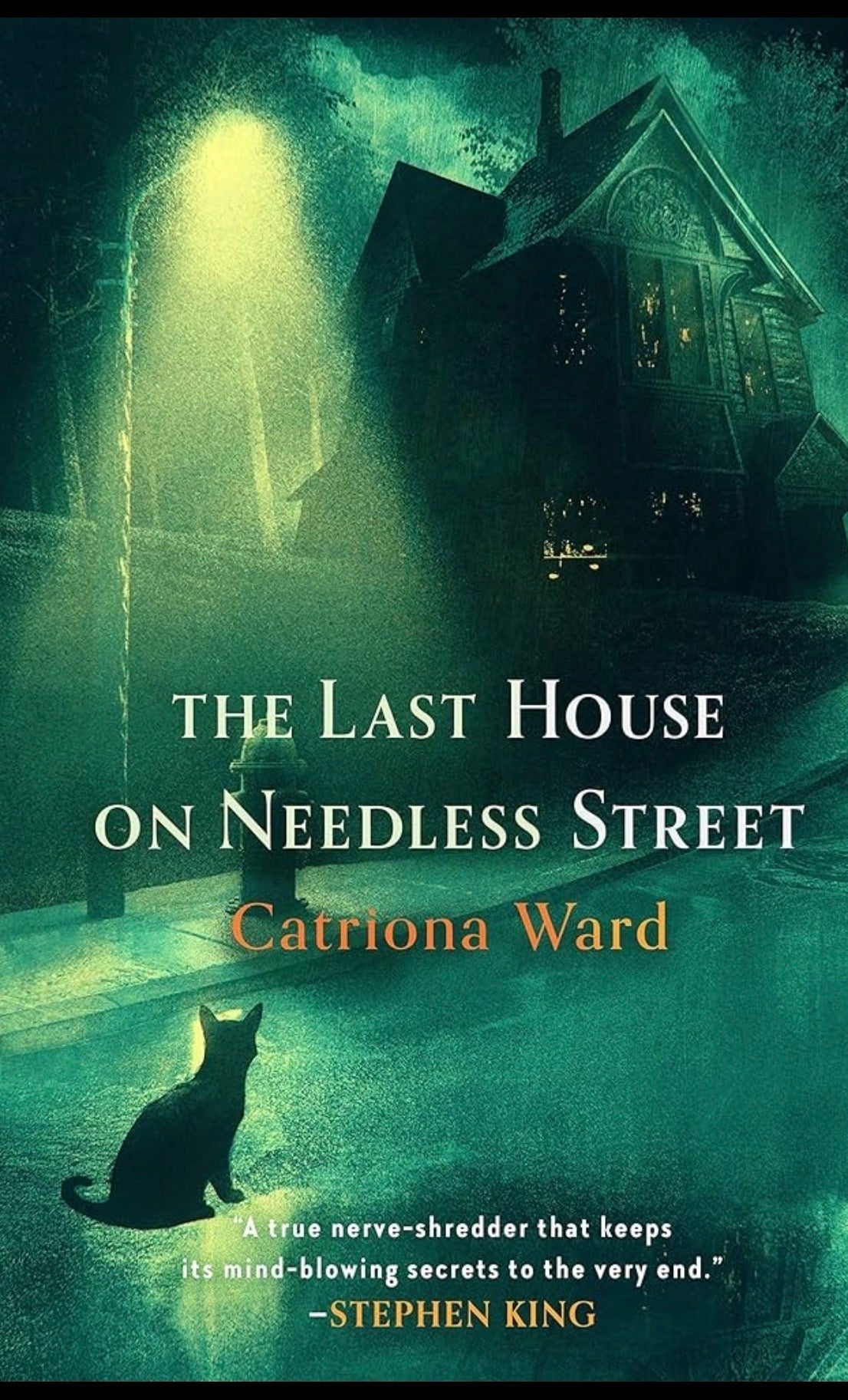 The Last House on Needless Street
By Catriona Ward